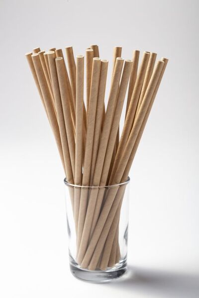 Paper Series - Paper Straws