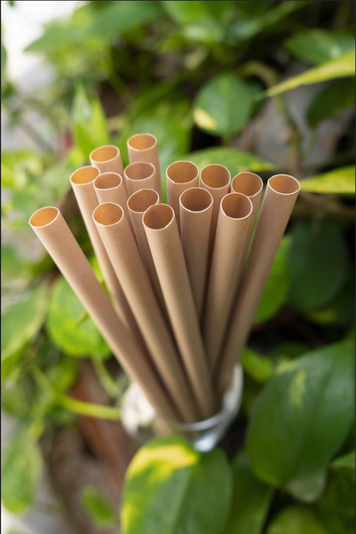 Home Compost Series - Tea Fiber Straws