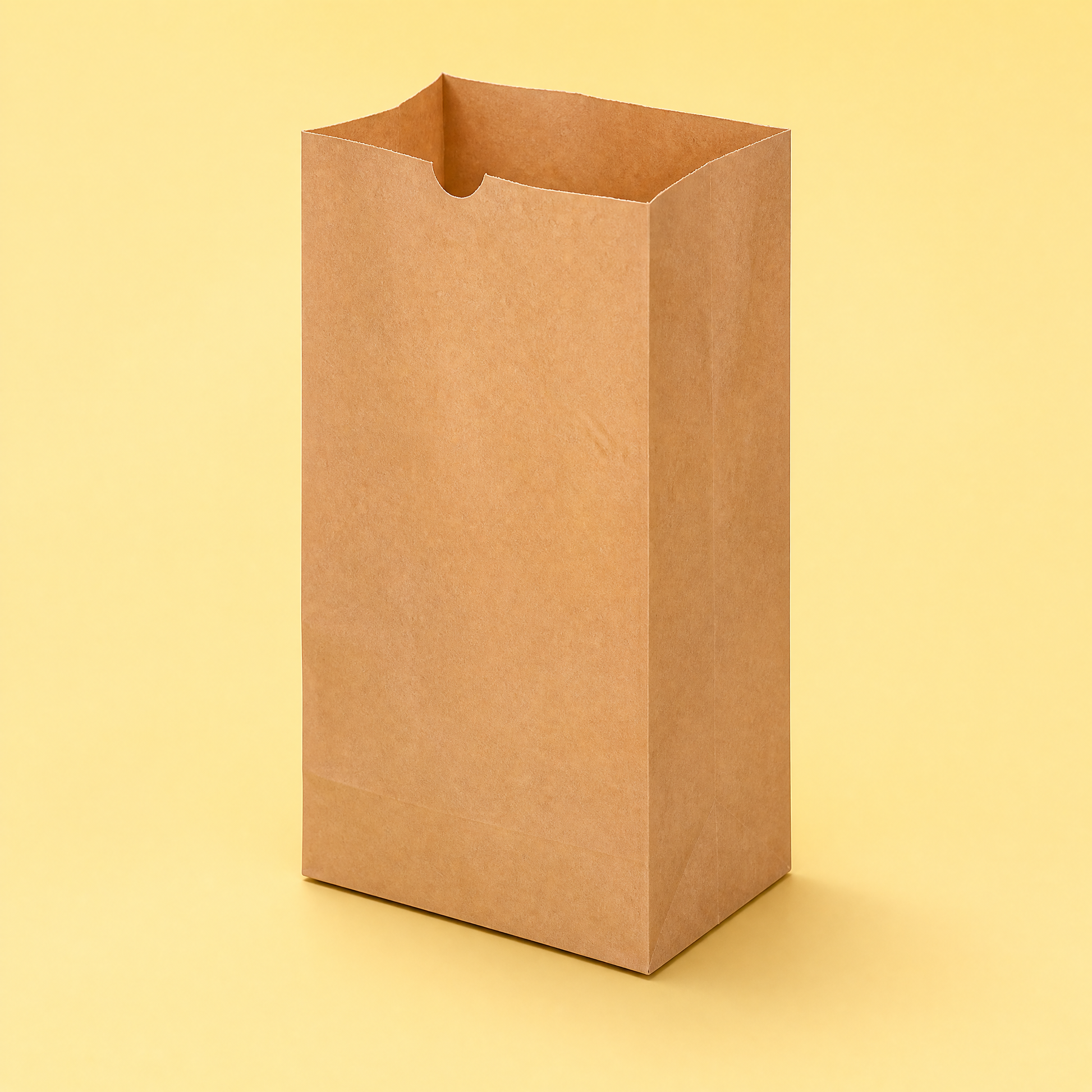 Paper Bags